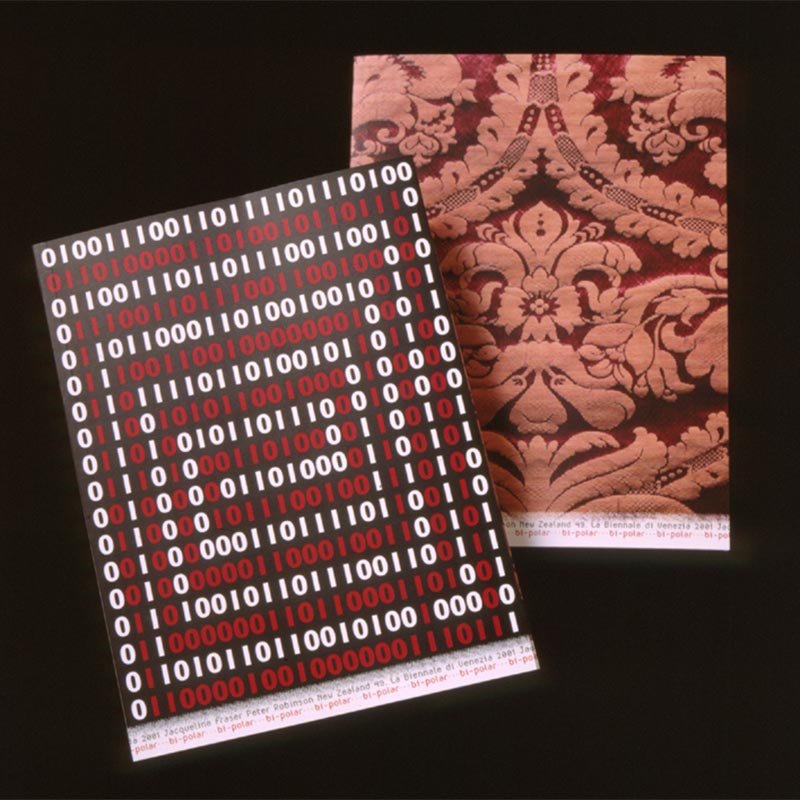 "Bi Polar", exhibition catalogues, 2001: Design: Neil Pardington and George Clark, Eyework Design. Photo: Creative New Zealand. 