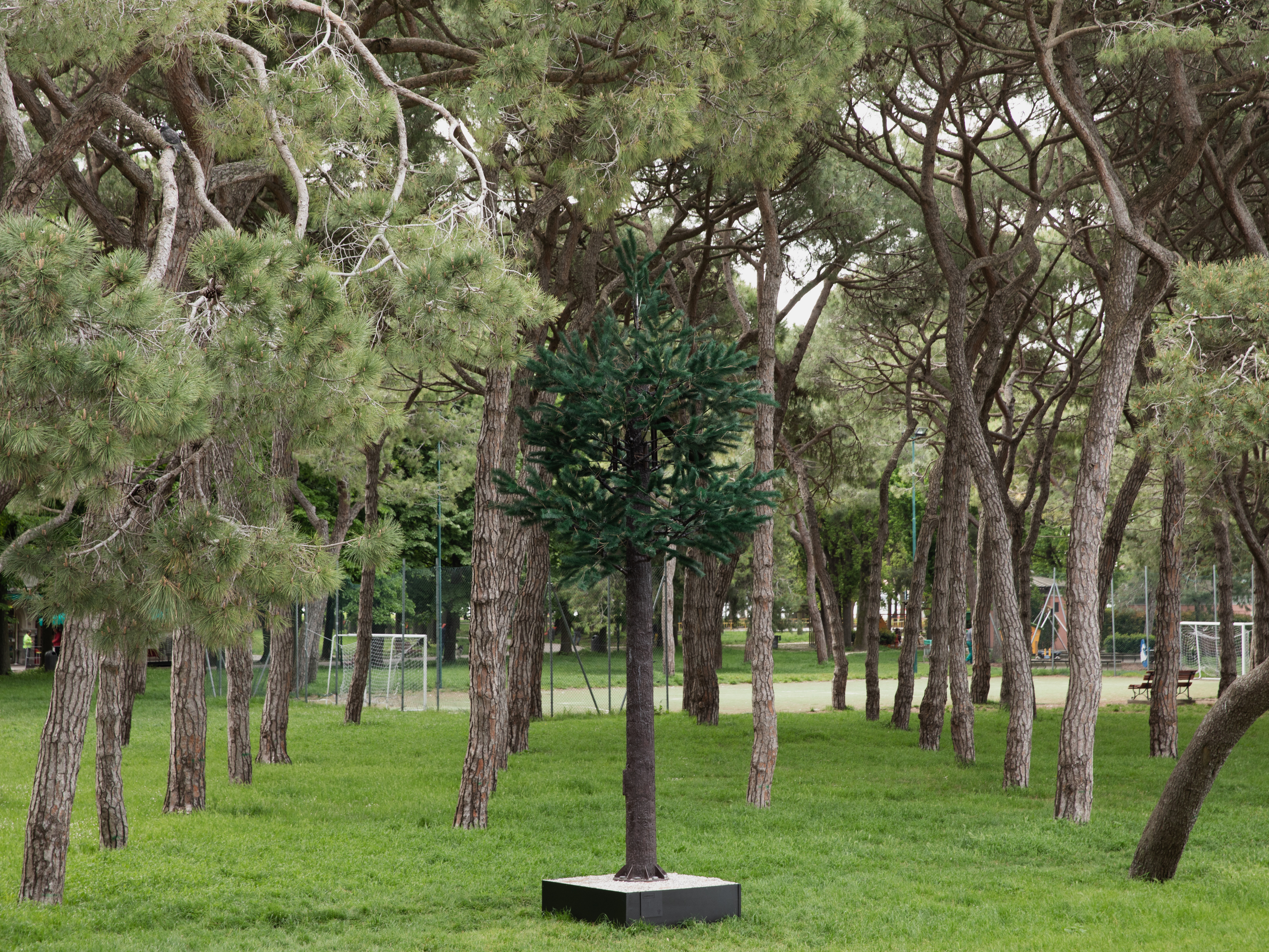“Post hoc” Parco Rimembranze - Sant’Elena, 2019.