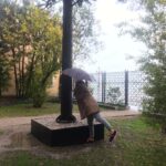 Acqua Alta NZ Pavilion