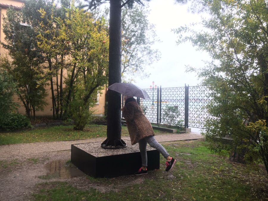 Acqua Alta NZ Pavilion